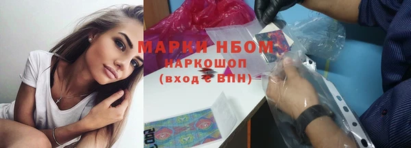стаф Алзамай