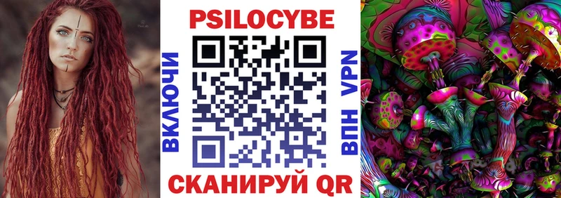 Псилоцибиновые грибы Psilocybe  Межгорье 